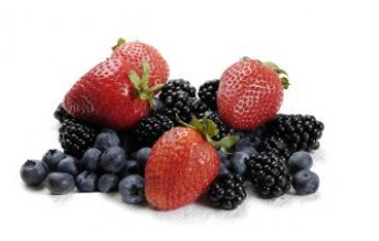 Ernährungsberater Weiterbildung